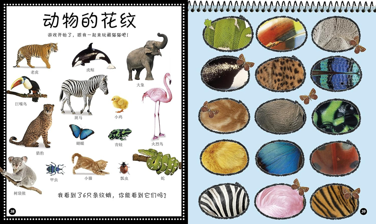 DK 我的第一套头脑体操书(全4册)