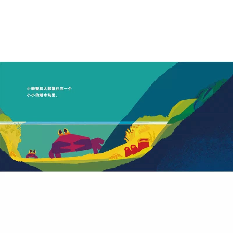 不怕不怕,小螃蟹