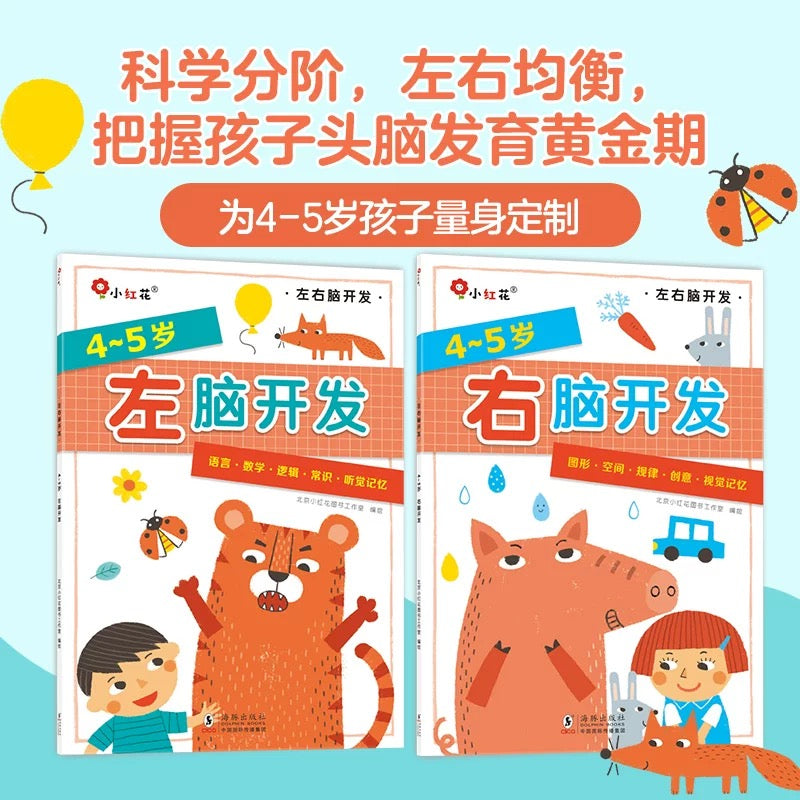 4-5岁左右脑开发(全2册) 邦臣小红花