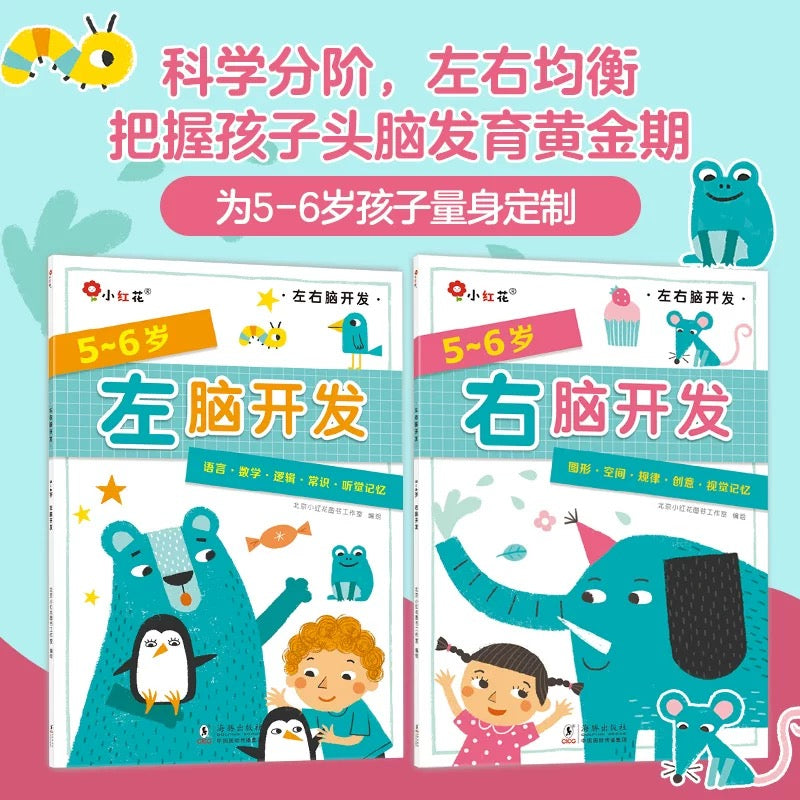 5-6岁左右脑开发(全2册) 邦臣小红花