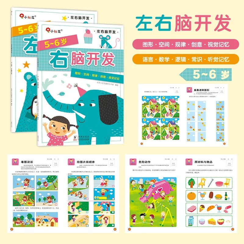 5-6岁左右脑开发(全2册) 邦臣小红花