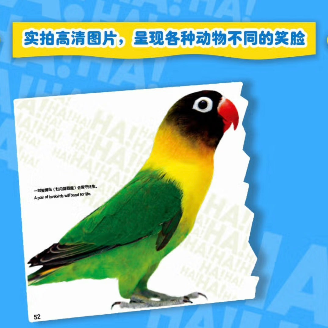 美国国家地理.趣味小百科(全6册)