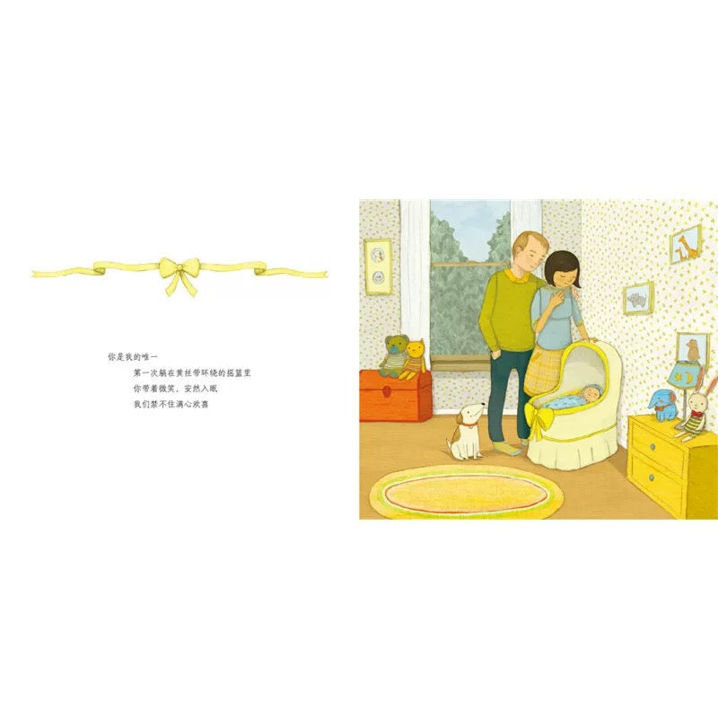 你是我的唯一(平装)