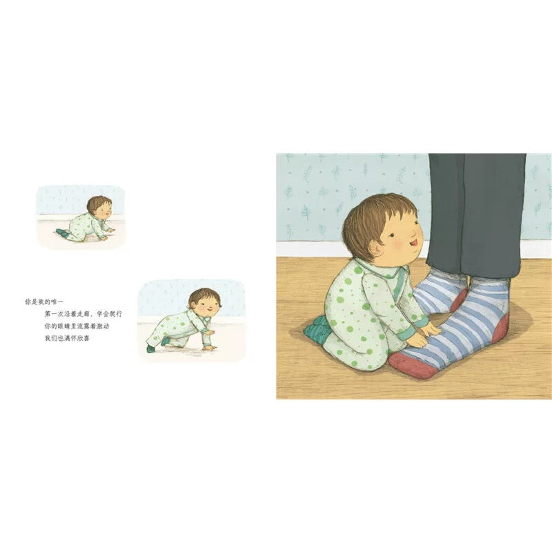 你是我的唯一(平装)