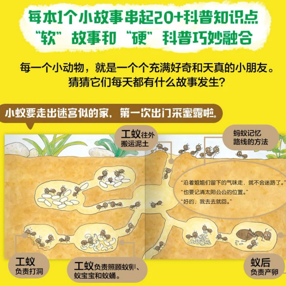 叽叽呱呱自然科普绘本(全15册):豆瓣8.8分