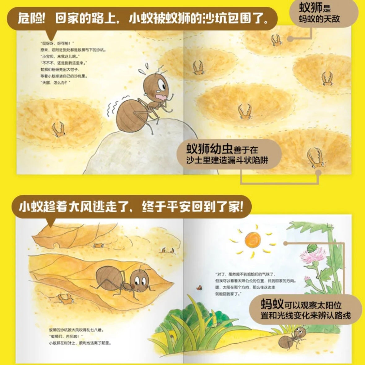 叽叽呱呱自然科普绘本(全15册):豆瓣8.8分