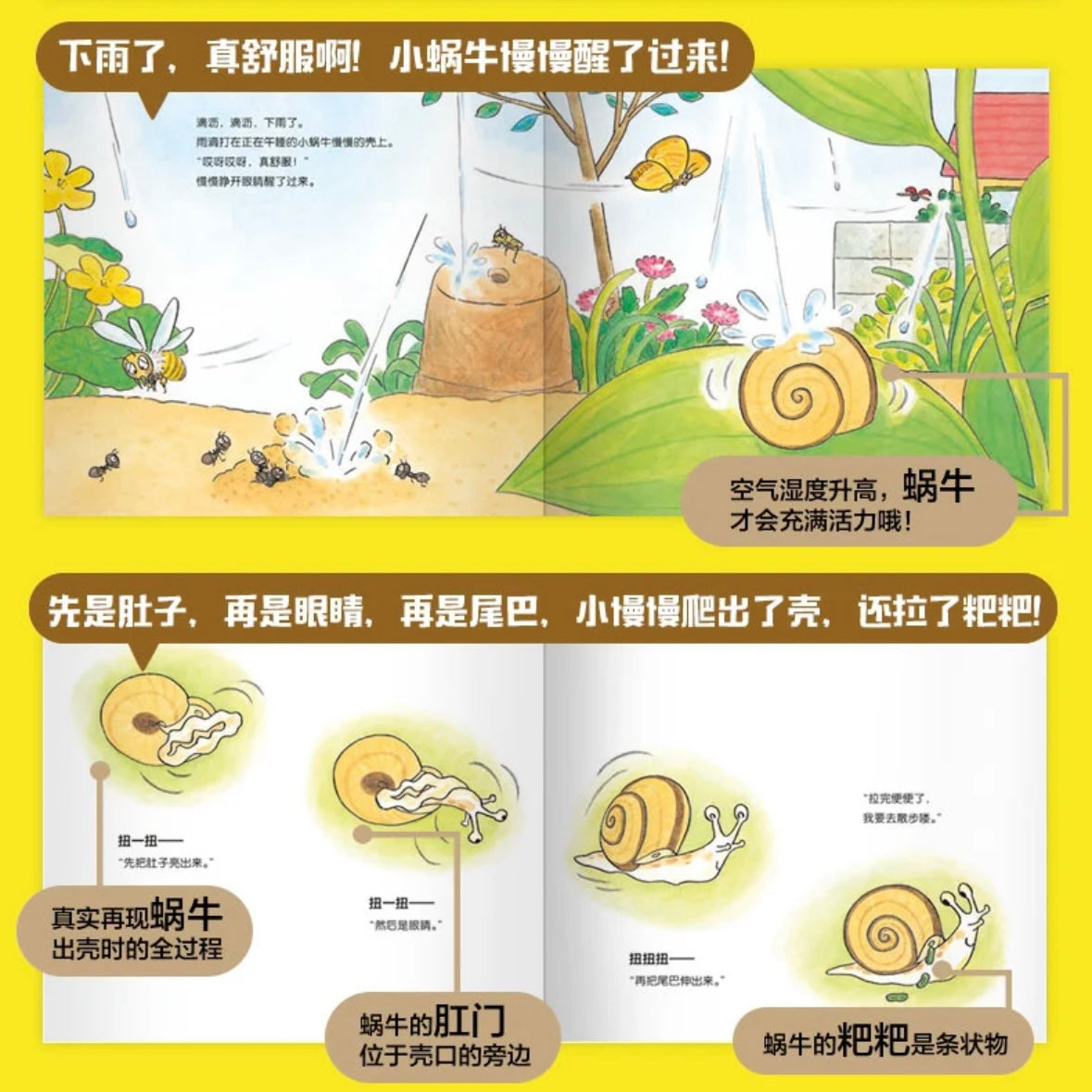 叽叽呱呱自然科普绘本(全15册):豆瓣8.8分
