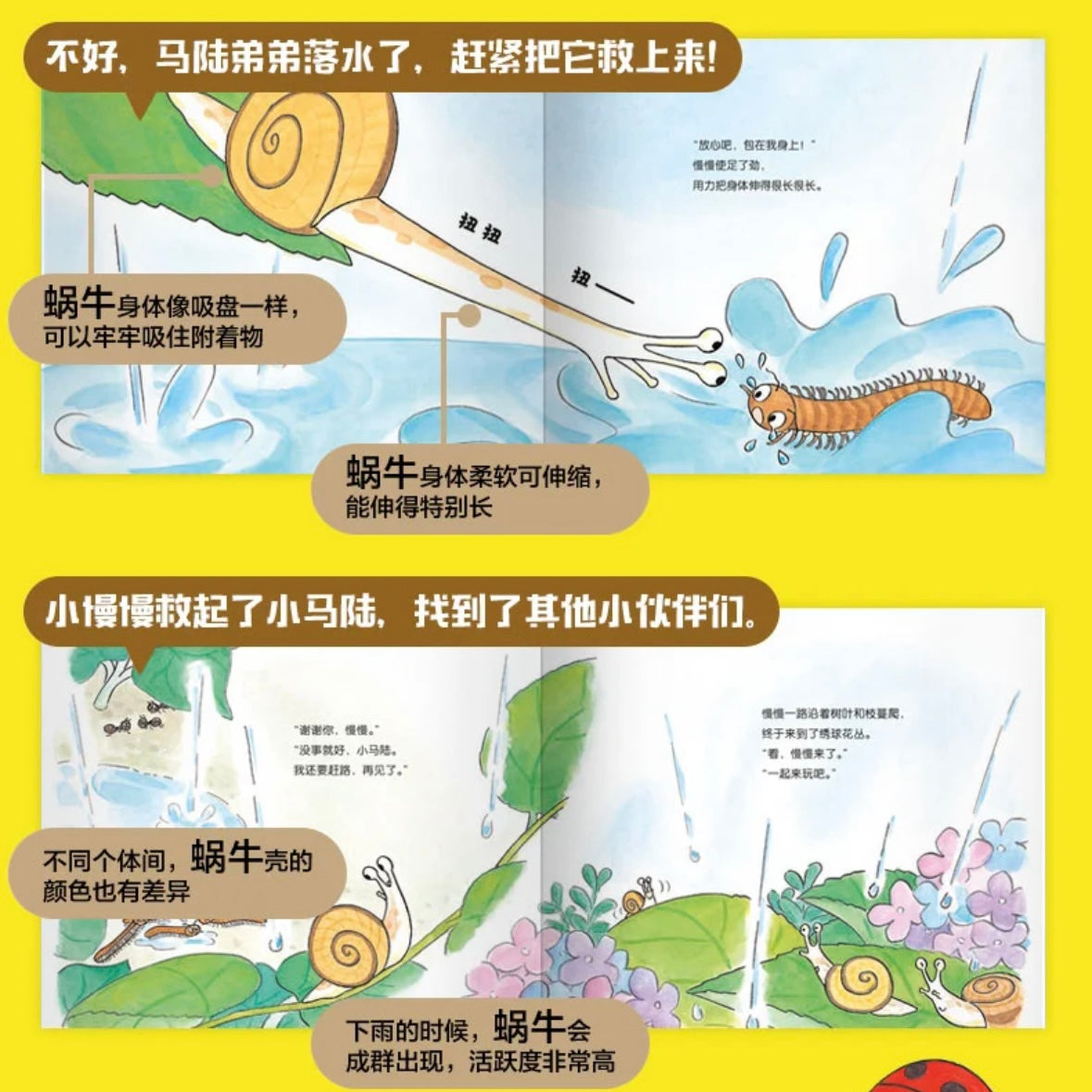 叽叽呱呱自然科普绘本(全15册):豆瓣8.8分