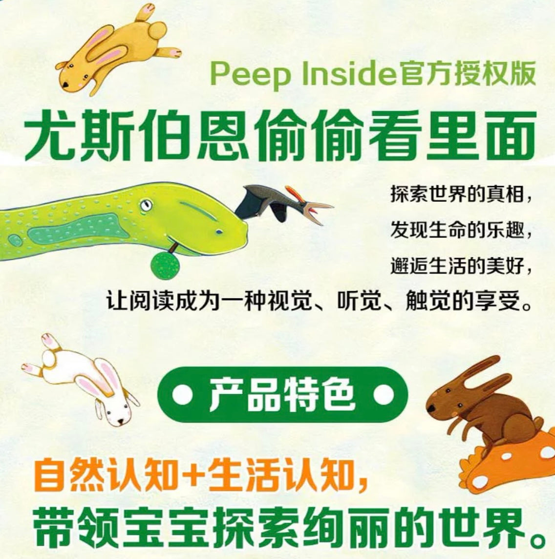 尤斯伯恩Usborne翻翻书 偷偷看里面(全6册)