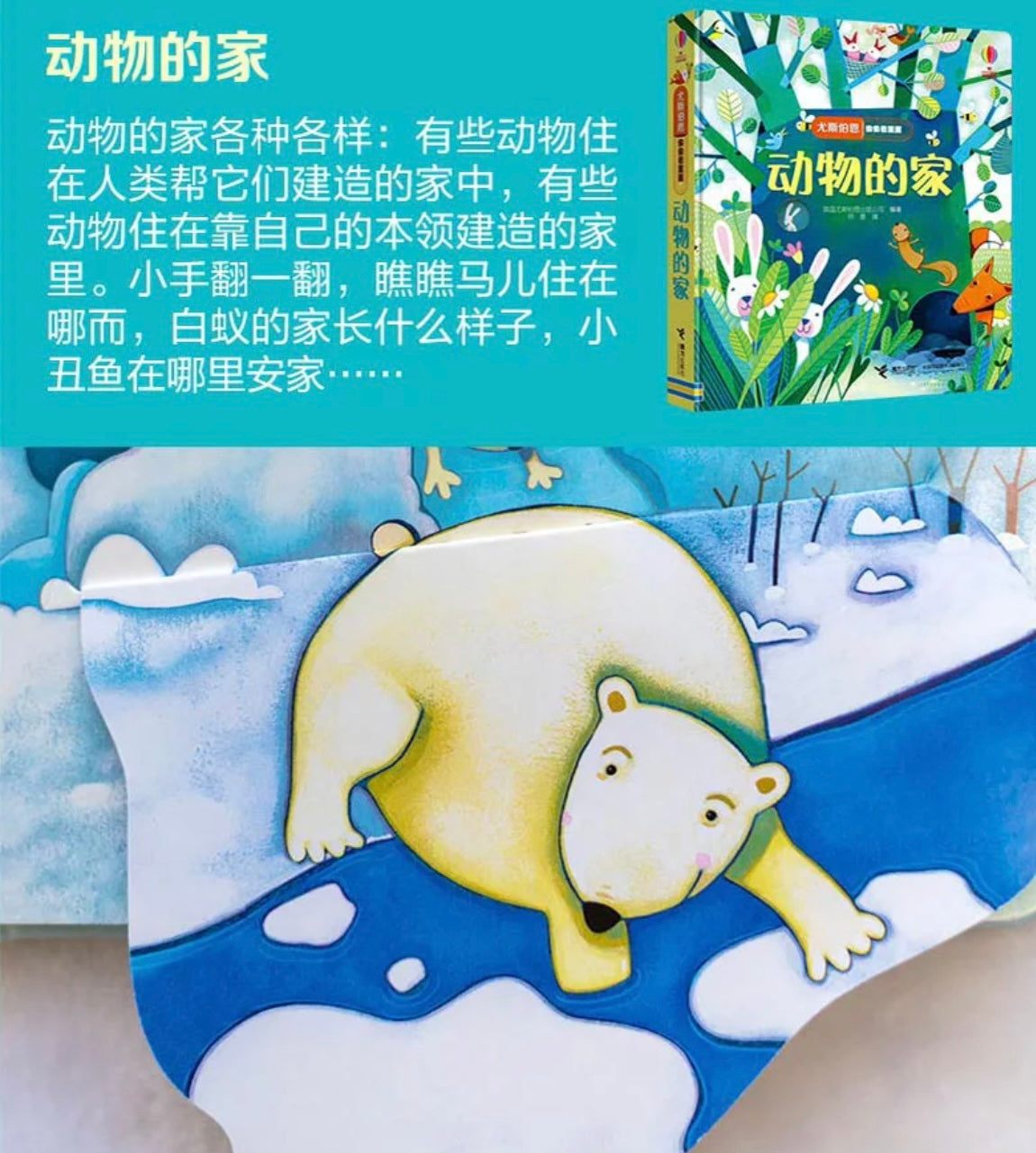 尤斯伯恩Usborne翻翻书 偷偷看里面(全6册)
