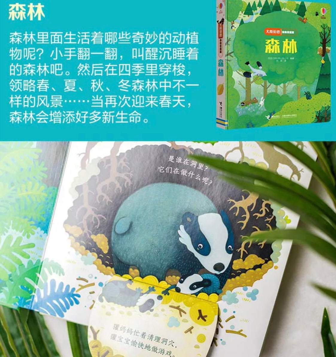 尤斯伯恩Usborne翻翻书 偷偷看里面(全6册)