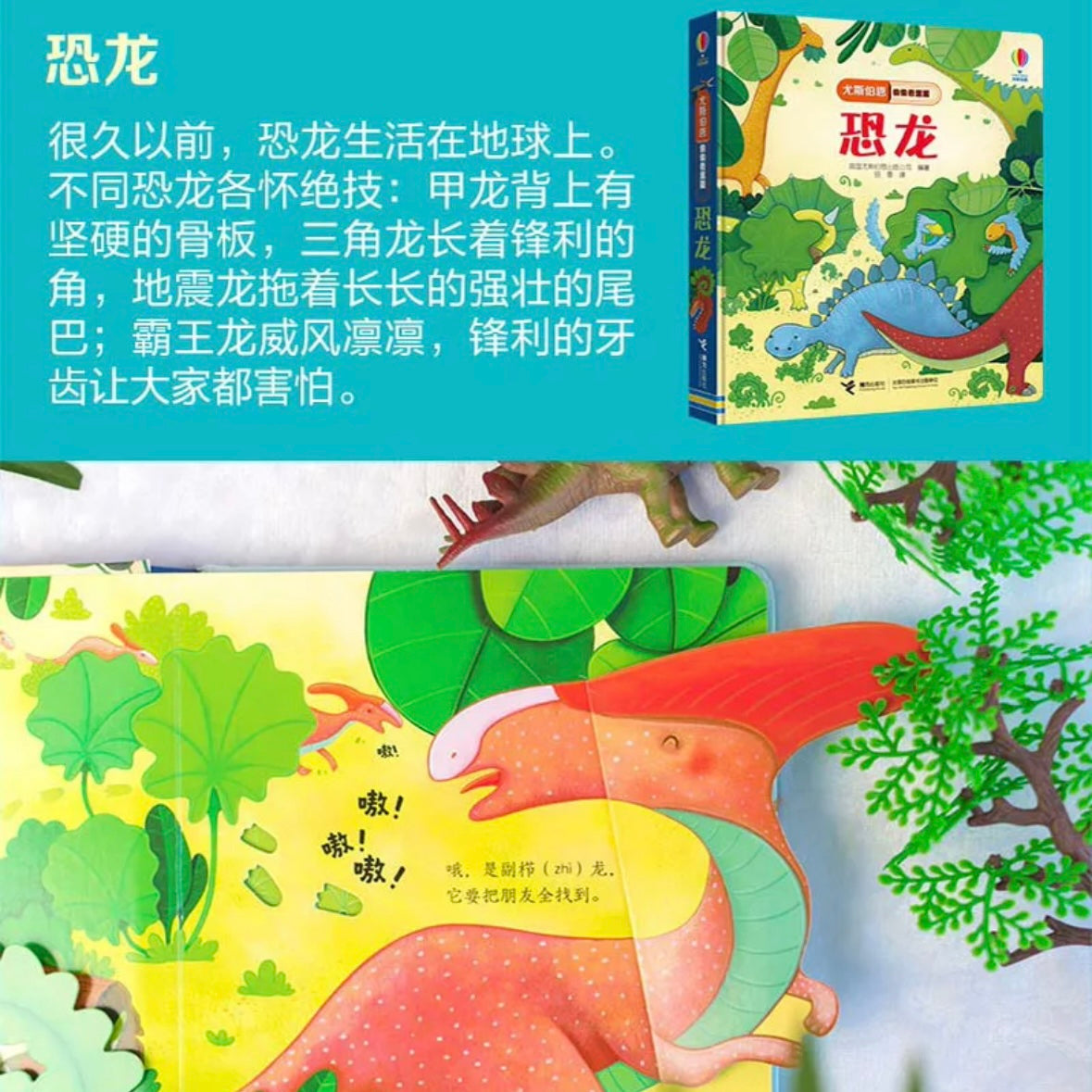 尤斯伯恩Usborne翻翻书 偷偷看里面(全6册)