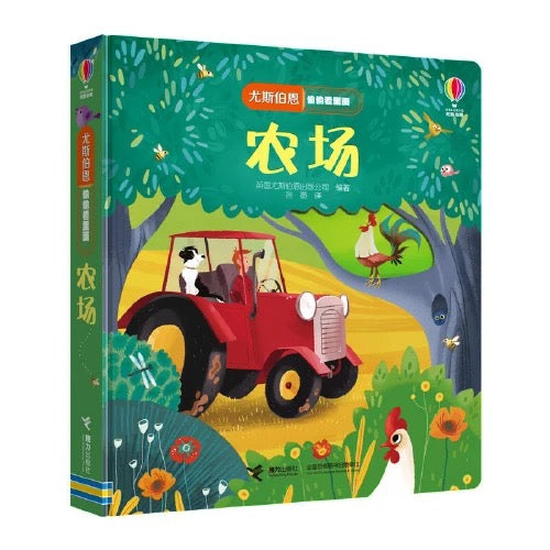 尤斯伯恩Usborne翻翻书 偷偷看里面(全6册)