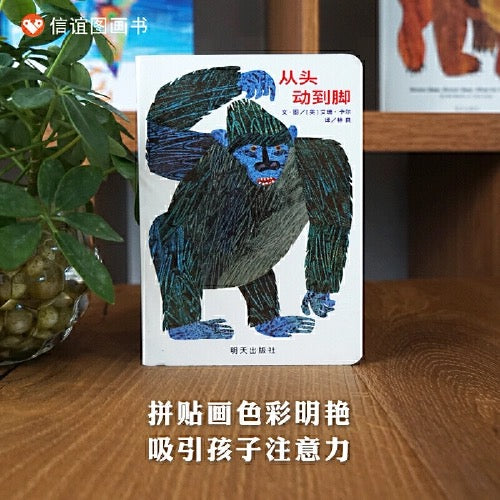 从头动到脚:From Head to Toe
