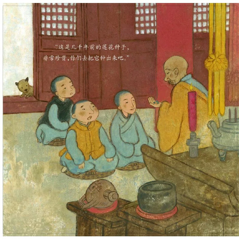 安的种子