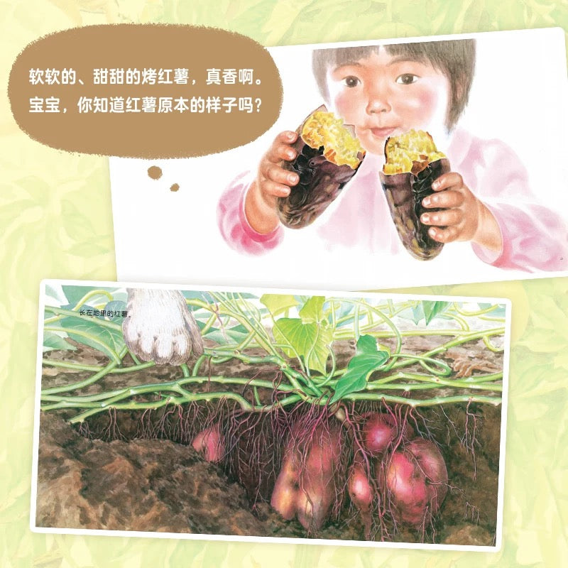 好多好多好吃的 (平装全3册)