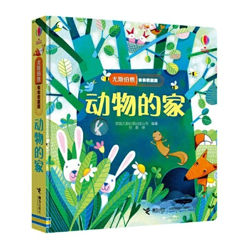 尤斯伯恩Usborne翻翻书 偷偷看里面(全6册)