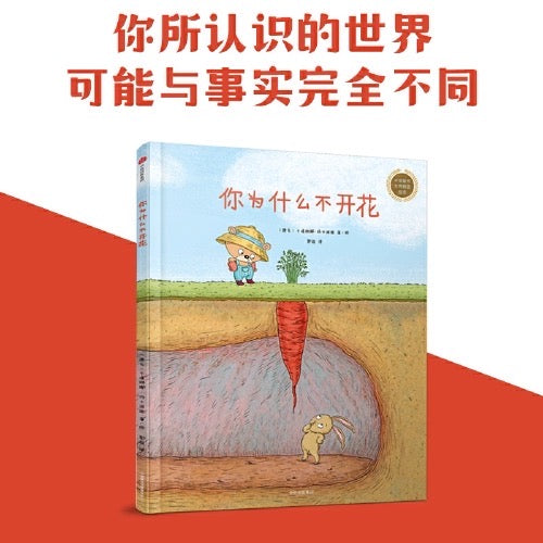 你为什么不开花:豆瓣评分9.5
