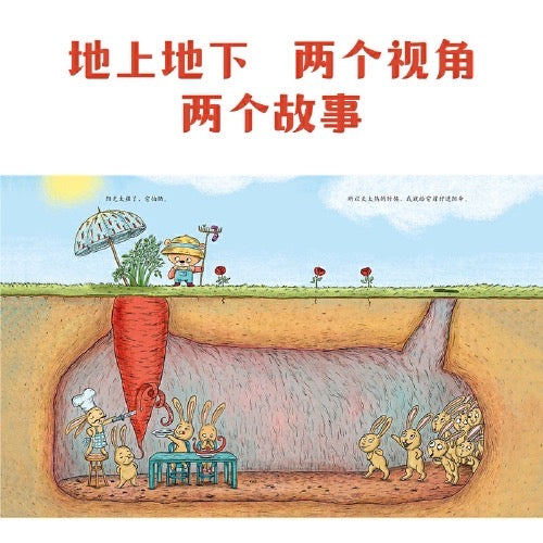 你为什么不开花:豆瓣评分9.5