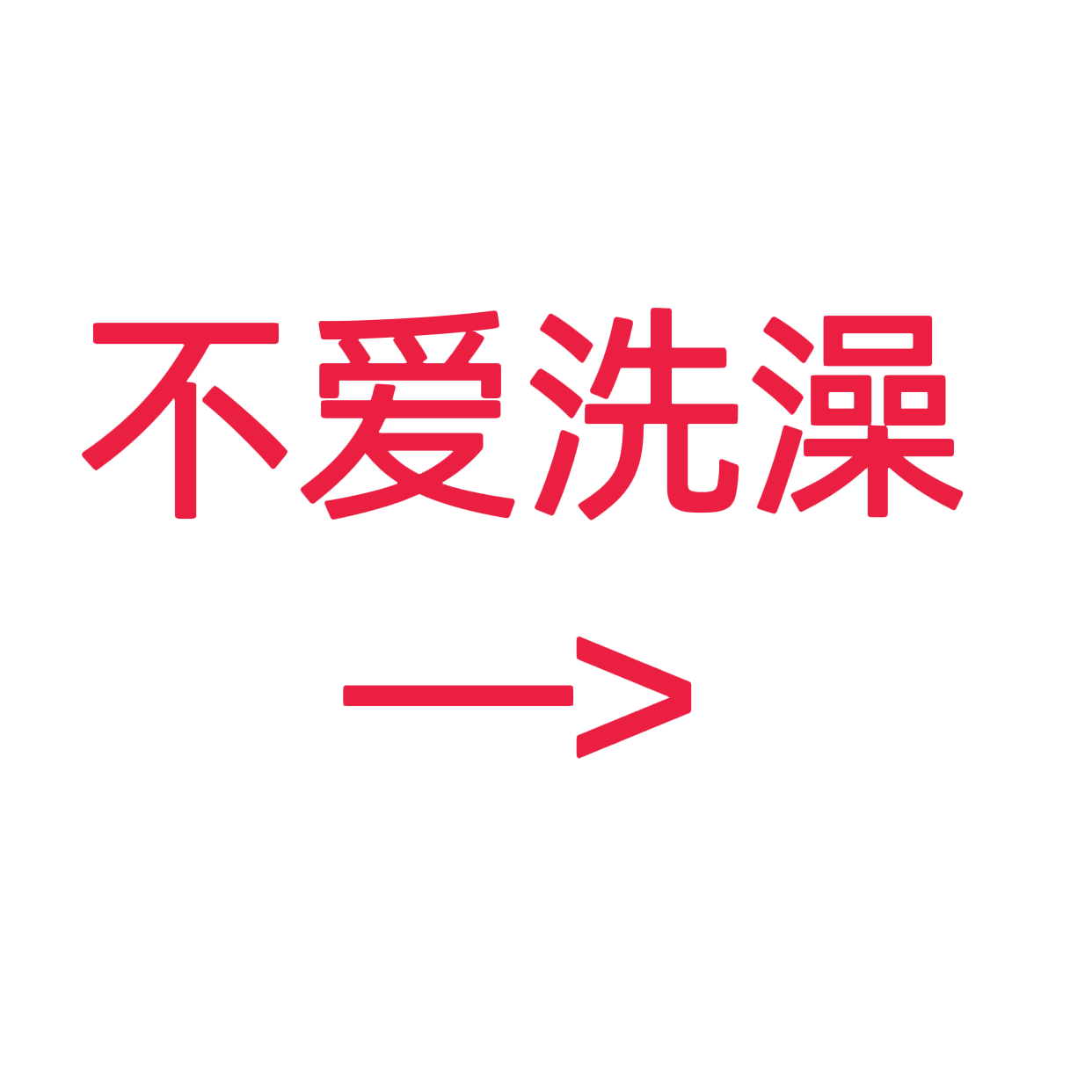 类目标签 不爱洗澡