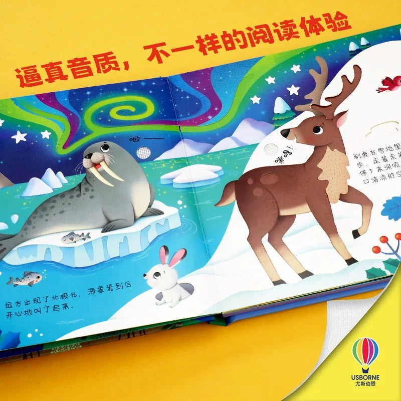 尤斯伯恩Usborne 奇妙发声书 【第三辑】(单册可选)