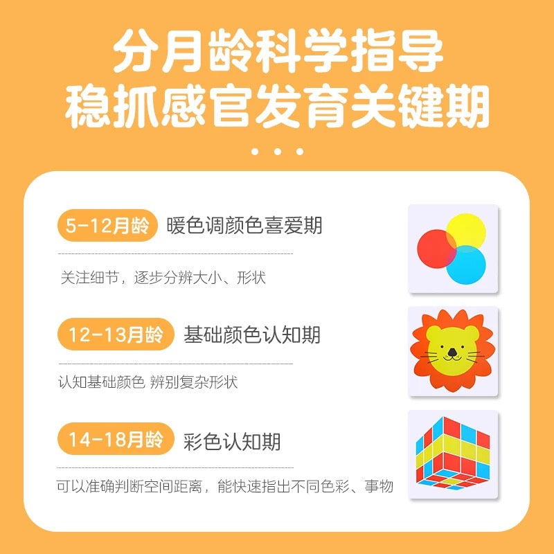 乐乐趣 彩色卡