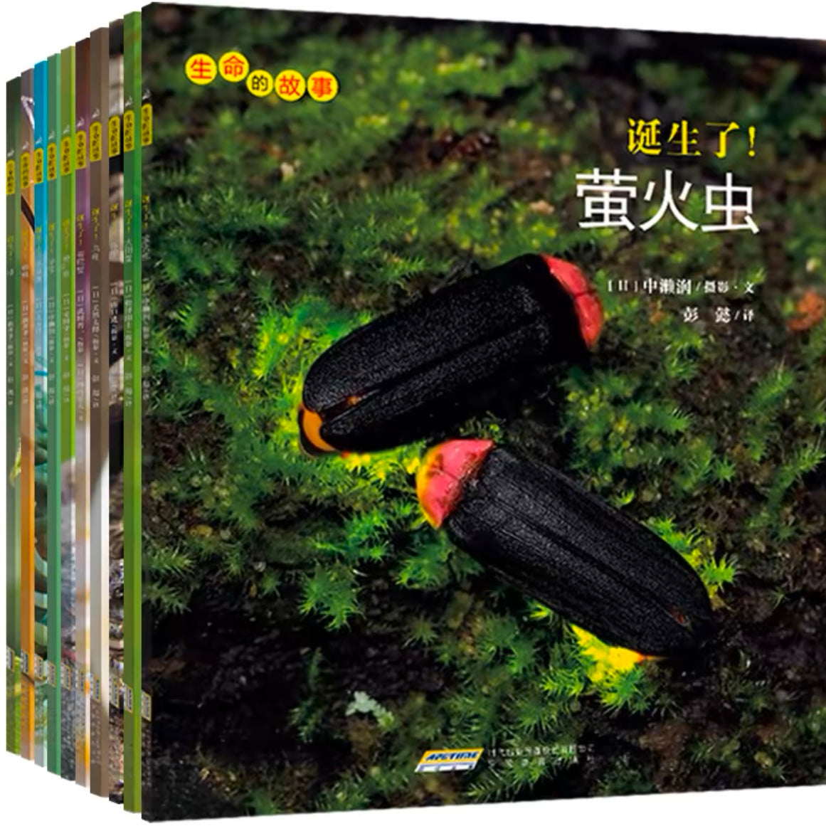 生命的故事 全4辑