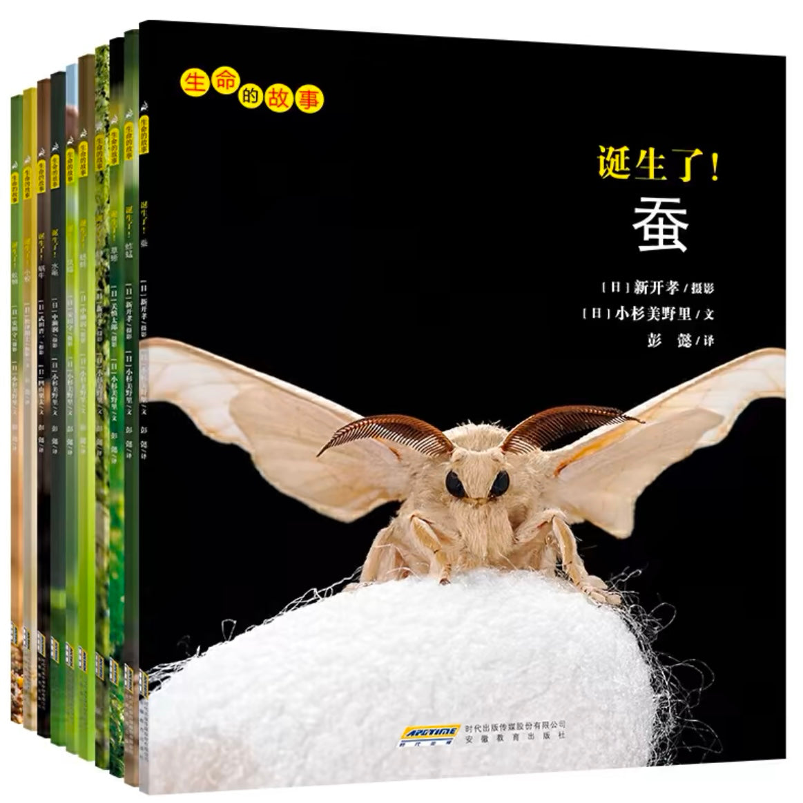 生命的故事 全4辑