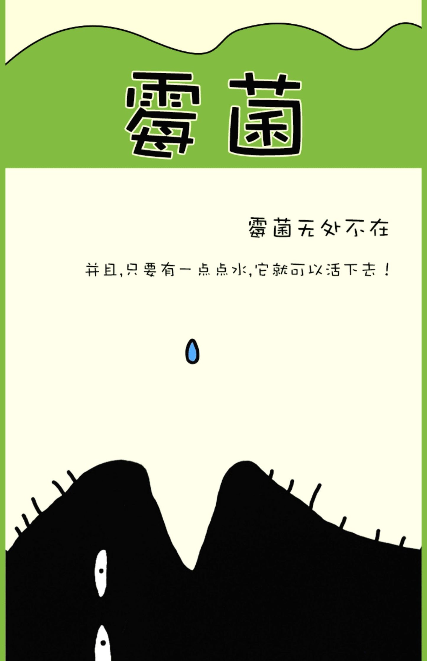 霉菌 精装硬壳