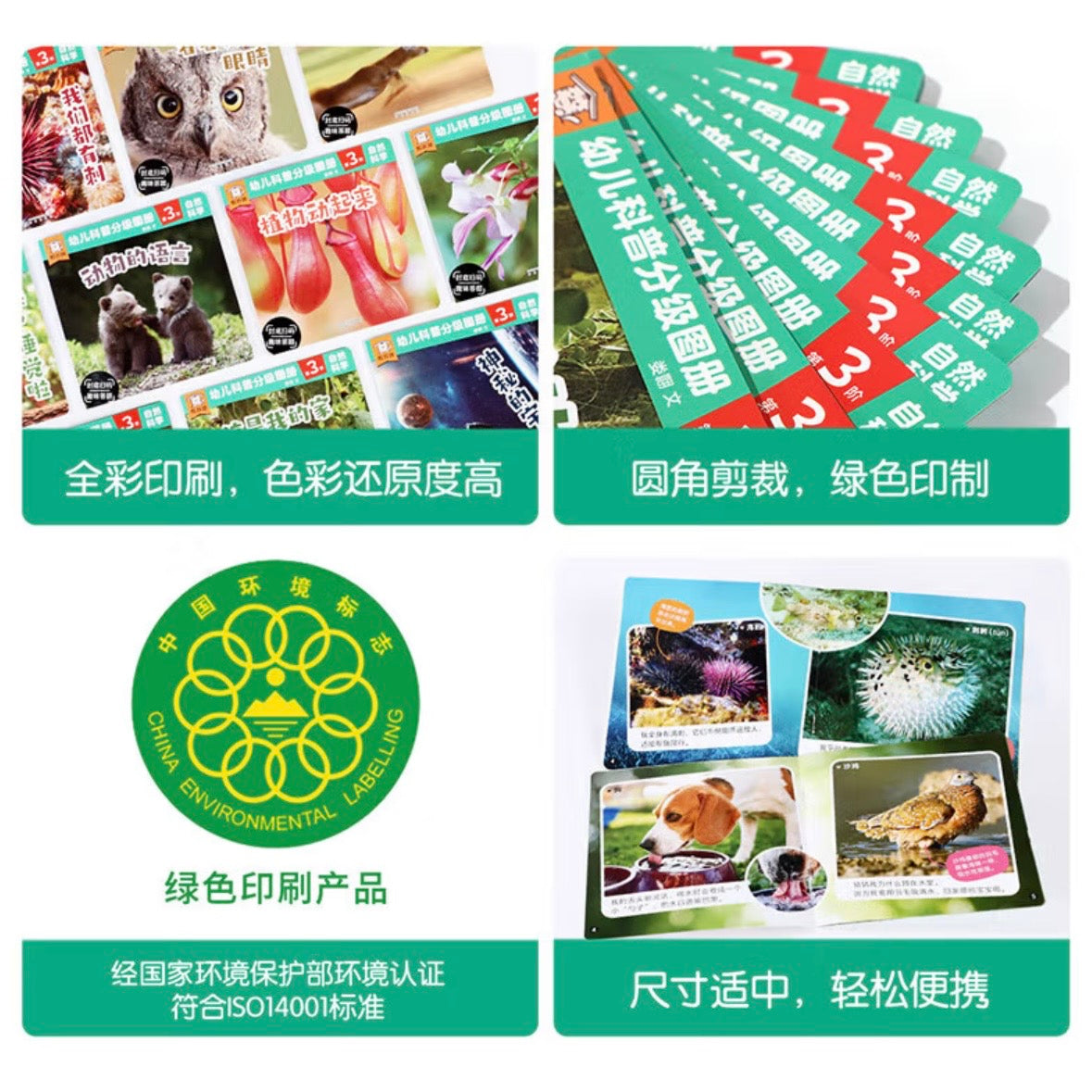 幼儿科普分级图册. 第3阶(全12册)