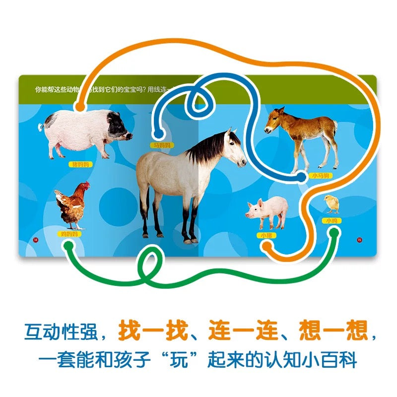 美国国家地理幼儿认知小百科(全20册)