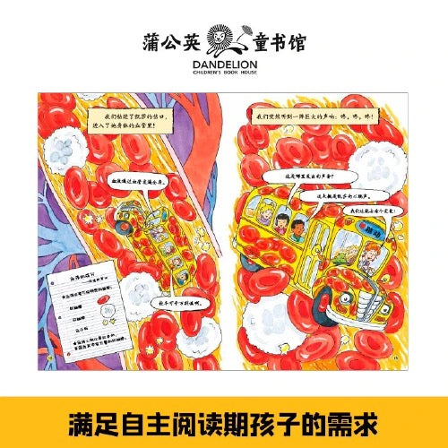 神奇校车.桥梁书版(全20册)【豆瓣评分9.4】