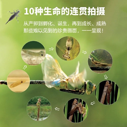 生命的故事 全4辑