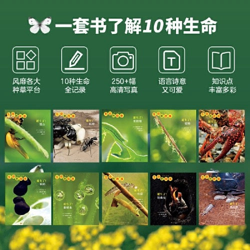 生命的故事 全4辑