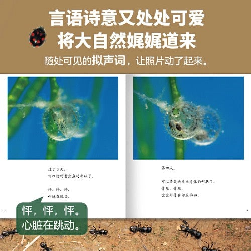 生命的故事 全4辑