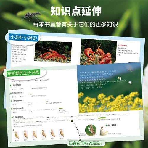 生命的故事 全4辑