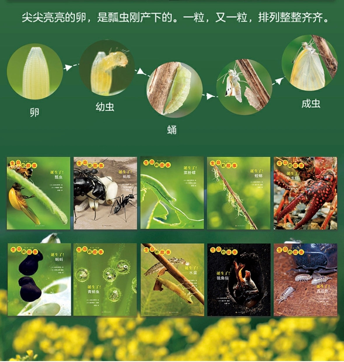 生命的故事 全4辑