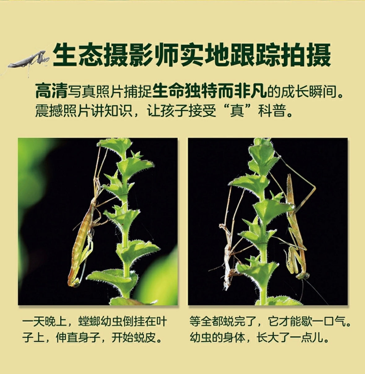 生命的故事 全4辑