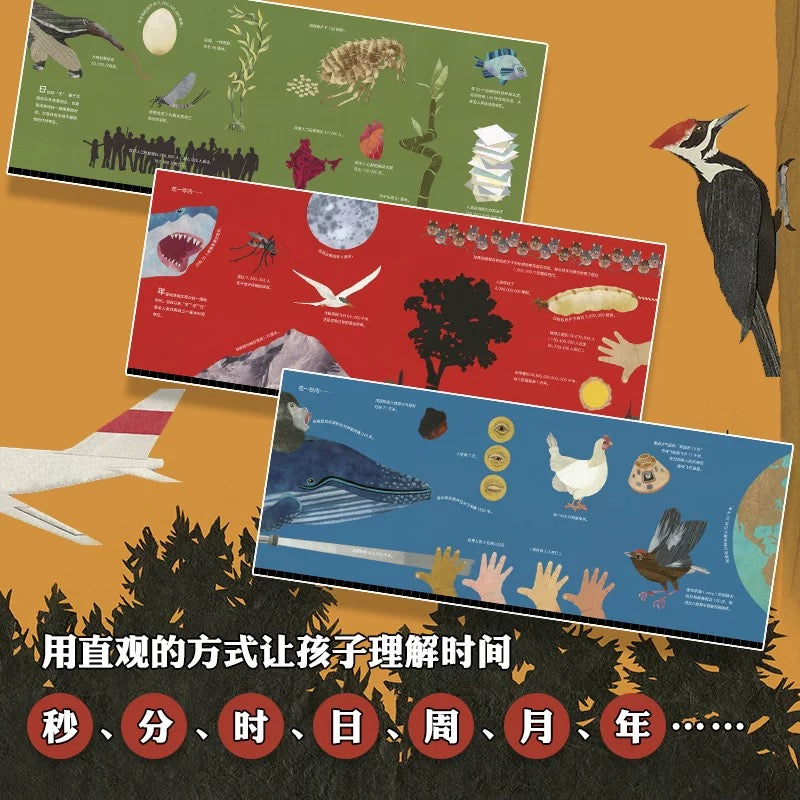 一秒有多长