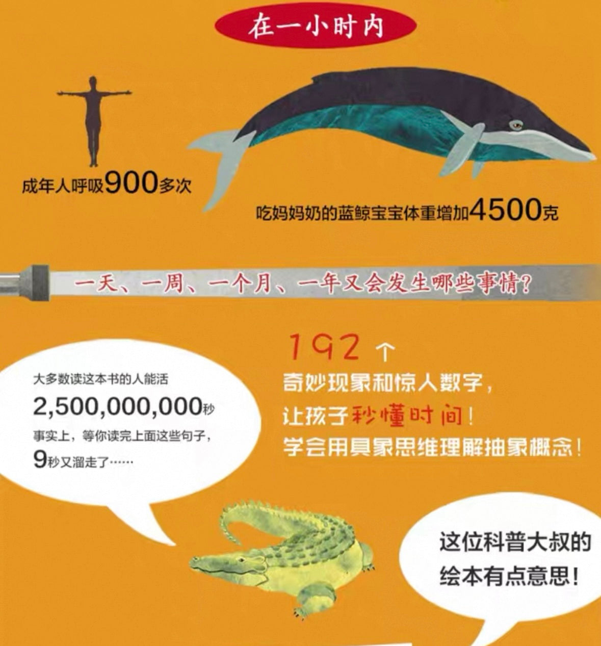 一秒有多长