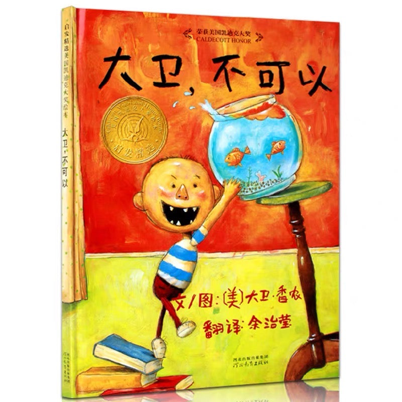 大卫不可以(精装)