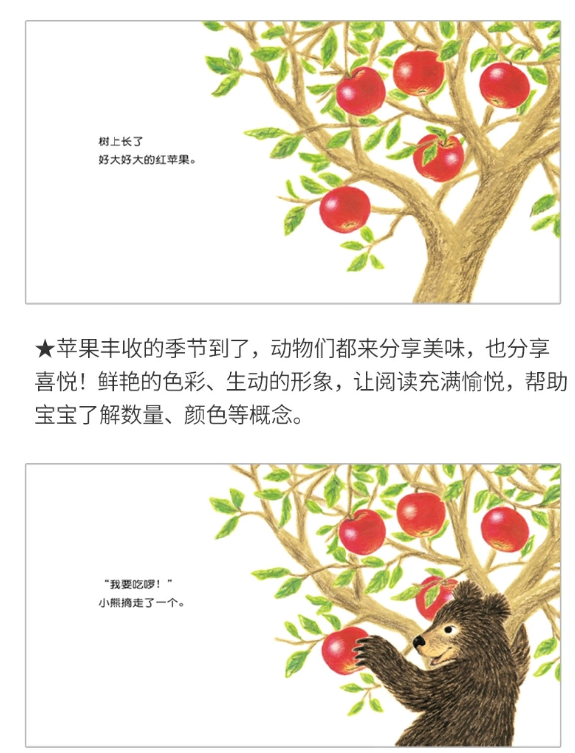 好大的红苹果 纸板书:数字1-5启蒙