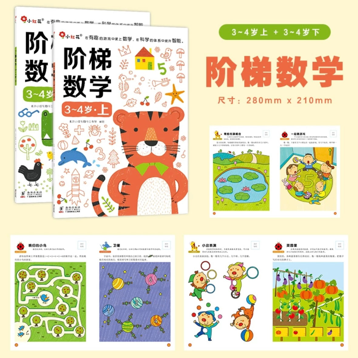 邦臣小红花 阶梯数学思维 (全2册)