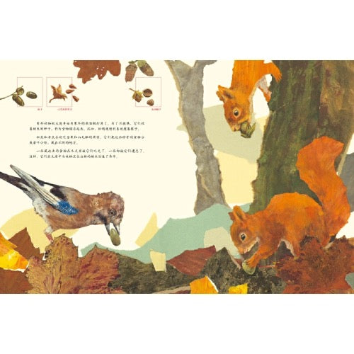 一粒种子的旅行【豆瓣8.5分】