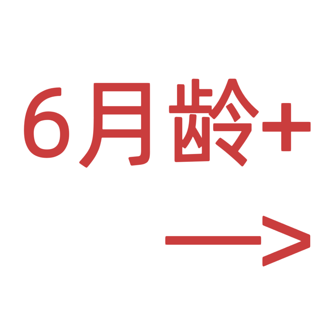 6月龄+