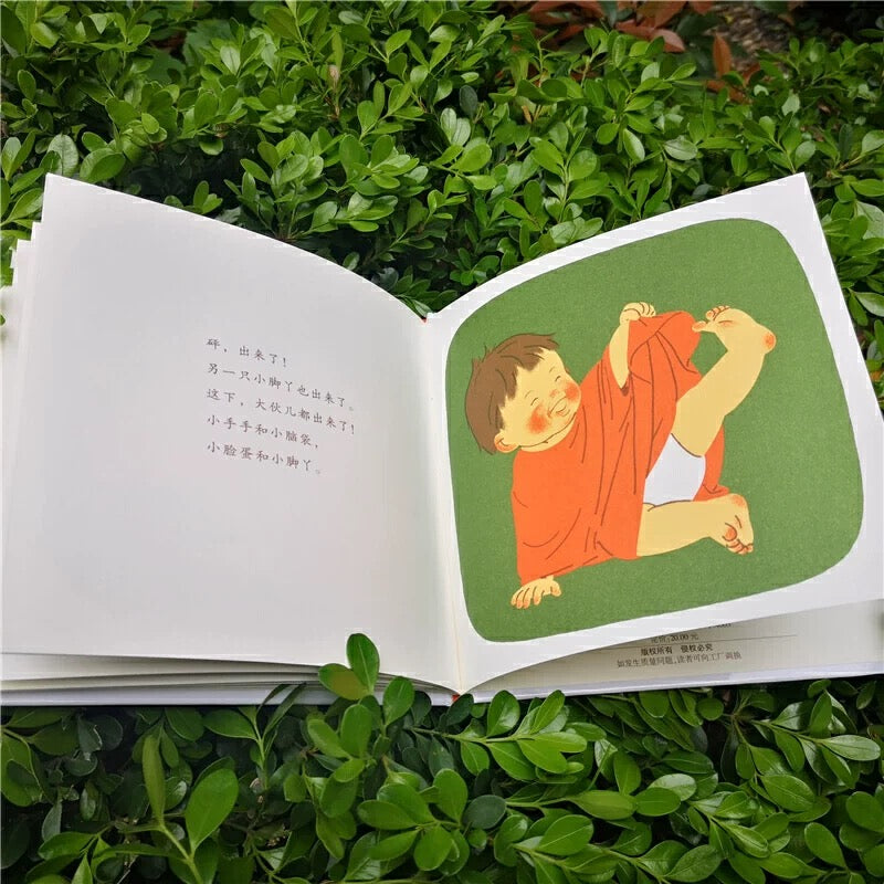 小手手,出来了