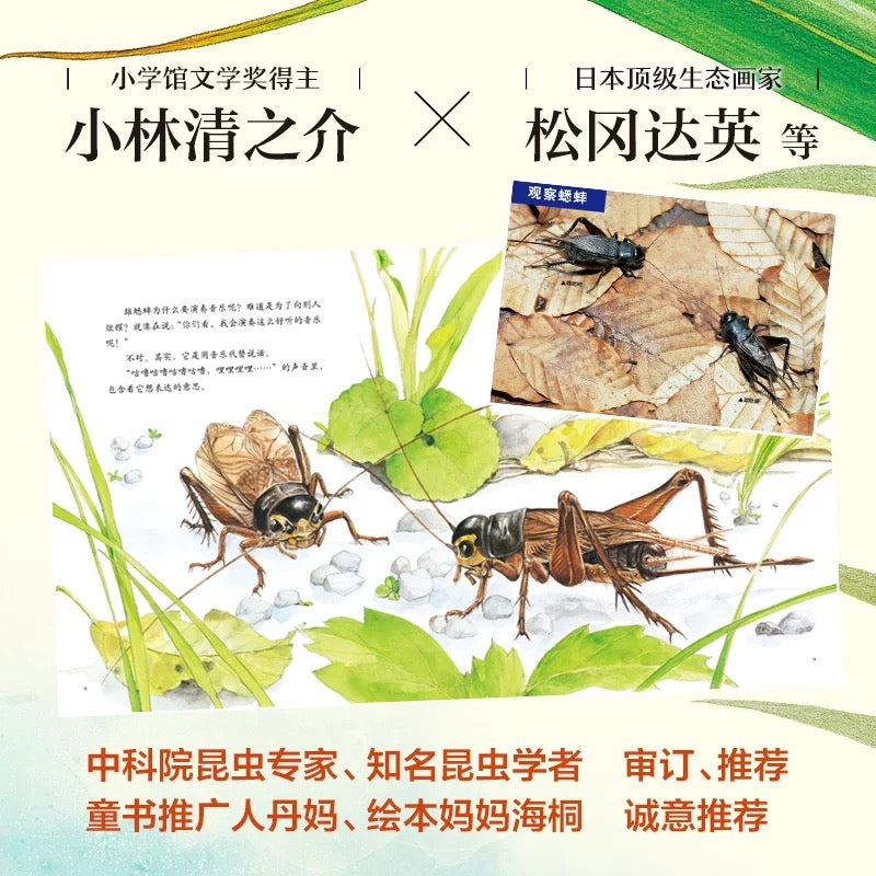 最美的法布尔昆虫记(全12册):豆瓣9.0分