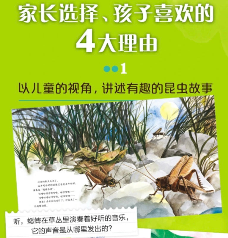 最美的法布尔昆虫记(全12册):豆瓣9.0分