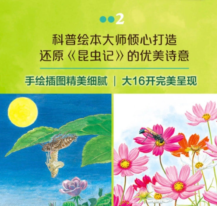 最美的法布尔昆虫记(全12册):豆瓣9.0分