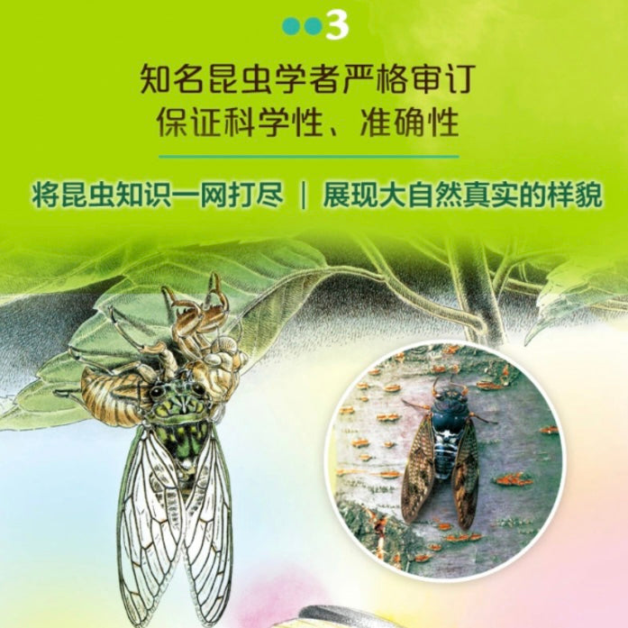 最美的法布尔昆虫记(全12册):豆瓣9.0分